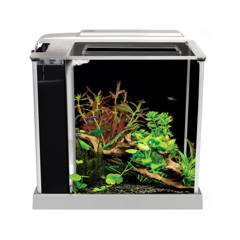 Fluval Spec III Aquarium Kit in White