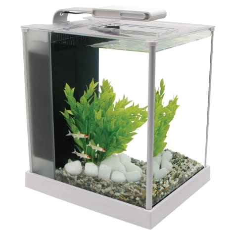 fish tank separator petco