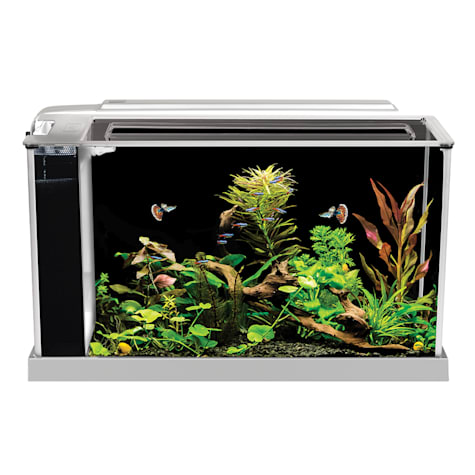 Fluval White Spec V Aquarium Kit