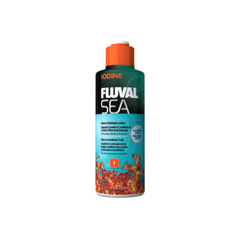 sea iodine