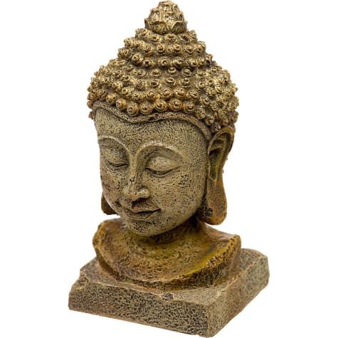 thai buddha