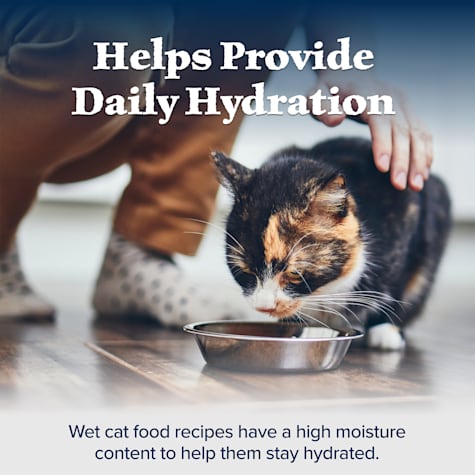 blue wilderness wild delights