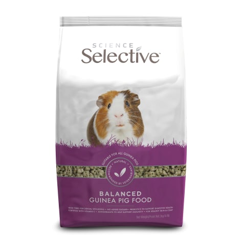 petco guinea pig food