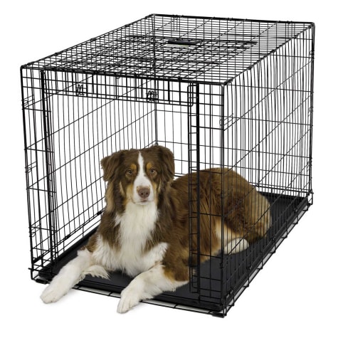Midwest Ovation Single Door Folding Dog Crate