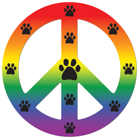 Imagine This Magnet Peace Dog Rainbow