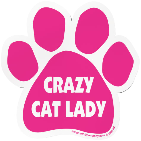 Imagine This Magnet Crazy Cat Lady