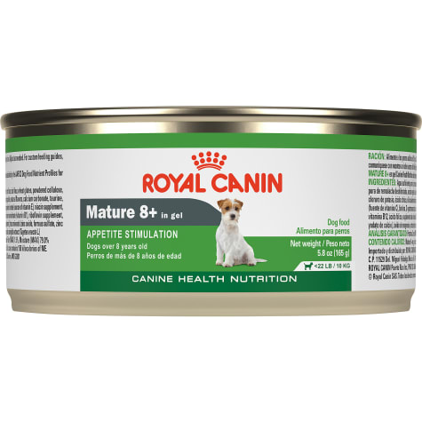 wet dog food for small dogs