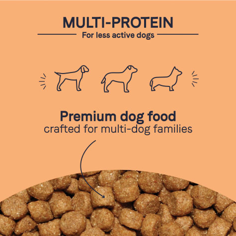 canidae platinum dog food