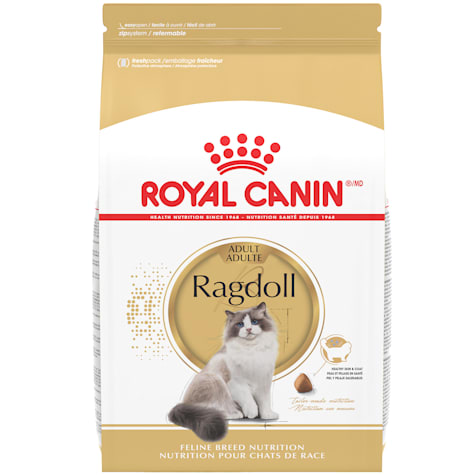 Royal Canin Ragdoll Breed Adult Dry Cat Food