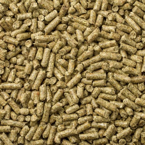 mazuri timothy based guinea pig diet