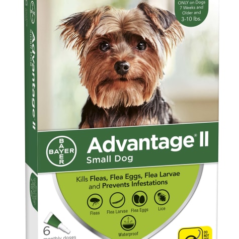 advantage ii for small dogs