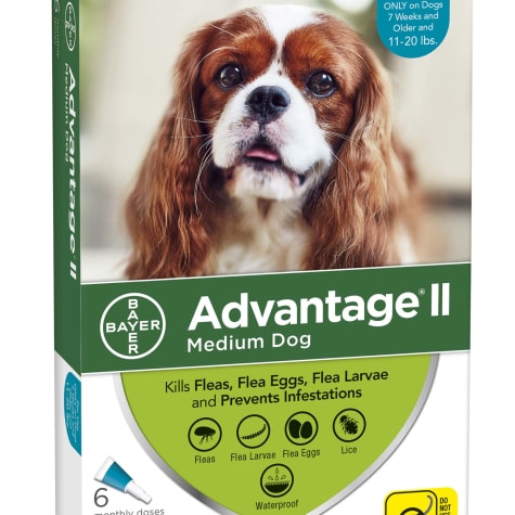 advantage for medium dogs