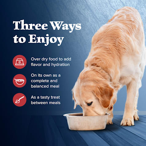 blue buffalo beef stew