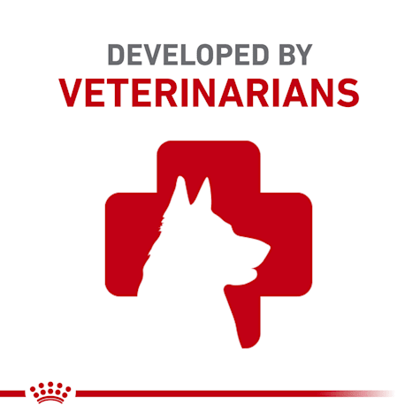 royal canin boxer 26