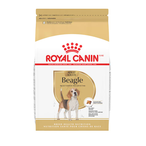 Royal Canin Breed Health Nutrition Beagle Adult Dry Dog Food