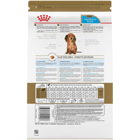 dachshund puppy royal canin