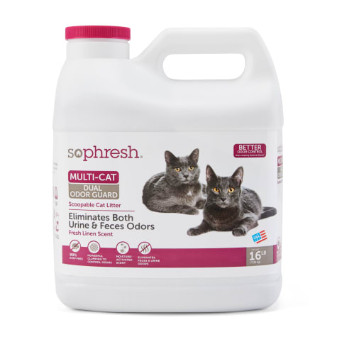 So Phresh Dual Odor Guard Scoopable Cat Litter