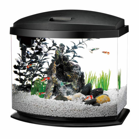 petco 15 gallon fish tank