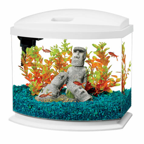 fish aquarium decor