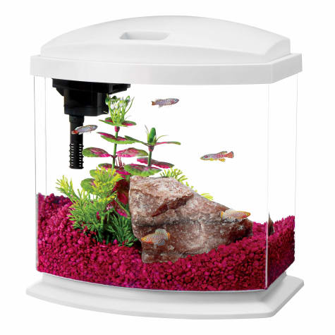 Aqueon 2 5 Gallon Minibow Led Desktop Fish Aquarium Kit White Petco
