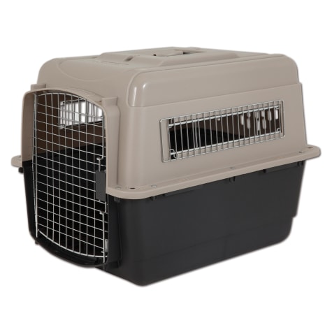 petco plastic kennel