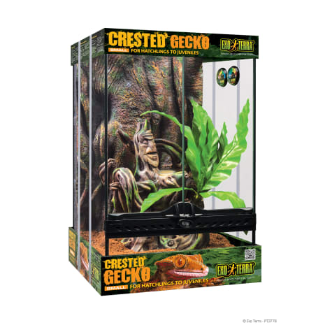 exo terra crested gecko kit 12x12x18