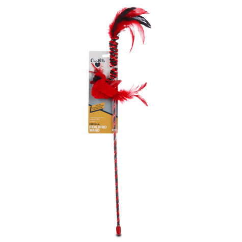 Our Pet S Play N Squeak Bird Wand Cat Toy 43 L X 2 W Petco