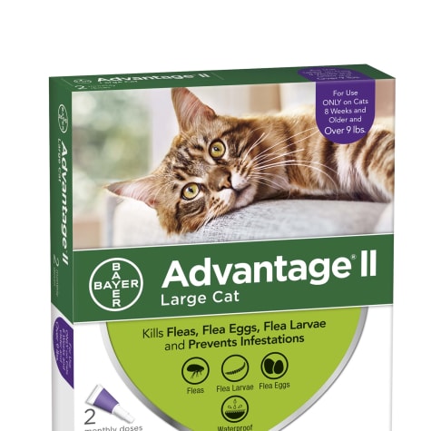 petco advantage for cats