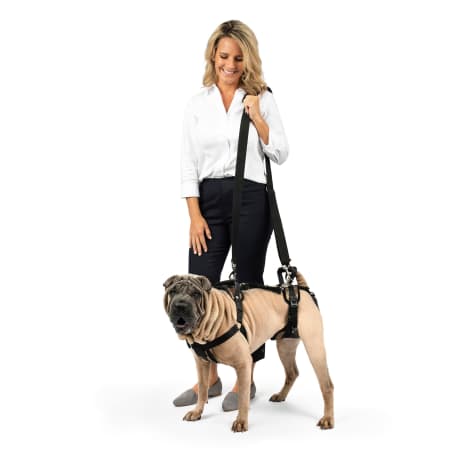 Solvit Pet Lifting Aid for Full Front and Back Medium
