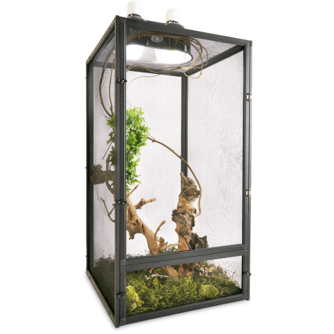 belgian malinois personal protection