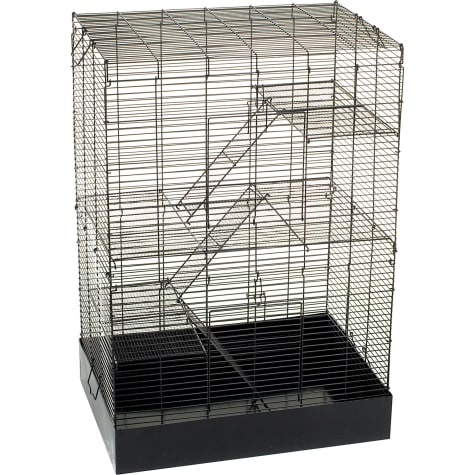 what to put in rat cage