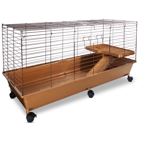 petco rabbit hutch