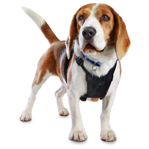 petco dog harness