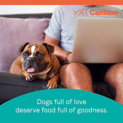 canidae healthy weight dog food