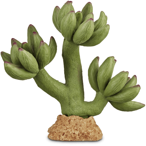 Imagitarium Pink Tipped Cactus Reptile Decor