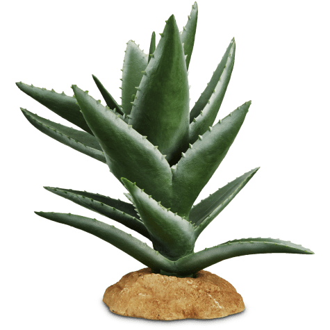Imagitarium Aloe Plant Reptile Decor