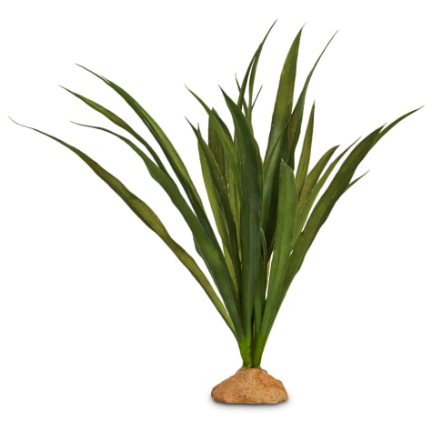 Imagitarium Orchid Grass Terrarium Plant
