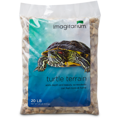 turtle food petco