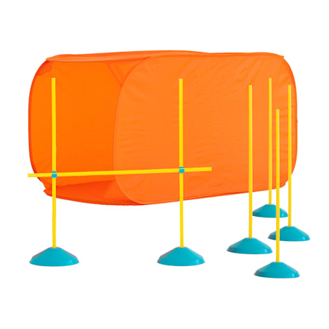 Outward Hound Indoor Dog Agility Kit