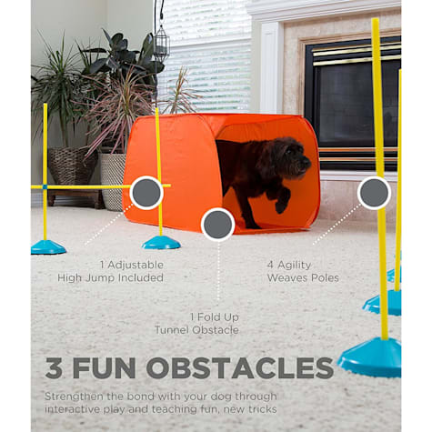agility toys for dogs