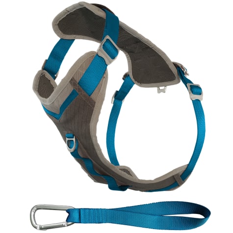 petco dog harness