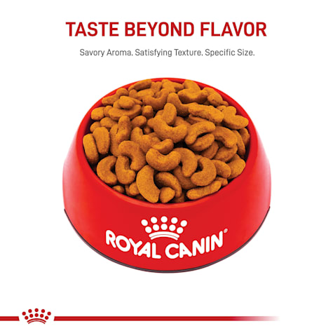 royal canin french bulldog adult