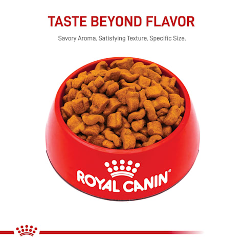 royal canin adult boxer food
