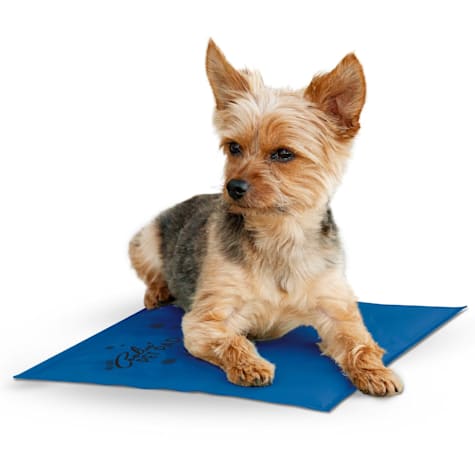 dog cooling pad petsmart