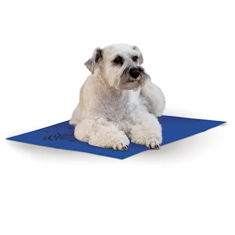 dog cooling mat petco