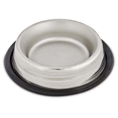 EveryYay Dining In Two-Toned No-Tip Stainless Steel Dog Bowl