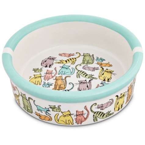 large cat bowl