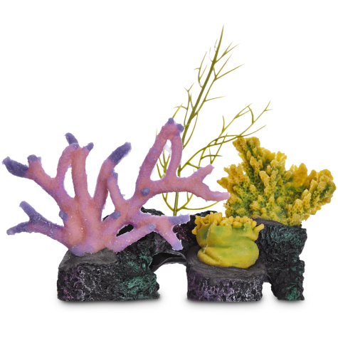 Imagitarium Assorted Coral Reef Aquatic Decor 3 Petco
