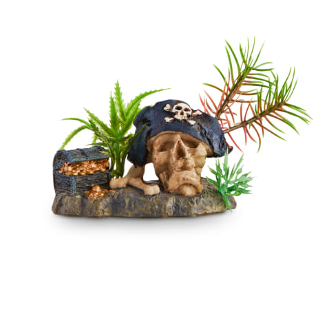Imagitarium Pirate Skull with Plant Aquatic Decor
