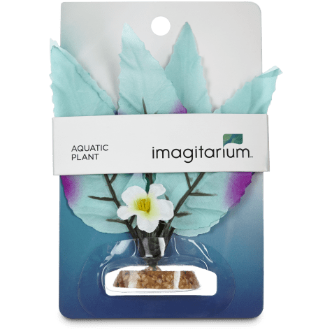 Imagitarium Blue Purple Leaf Silk Plant